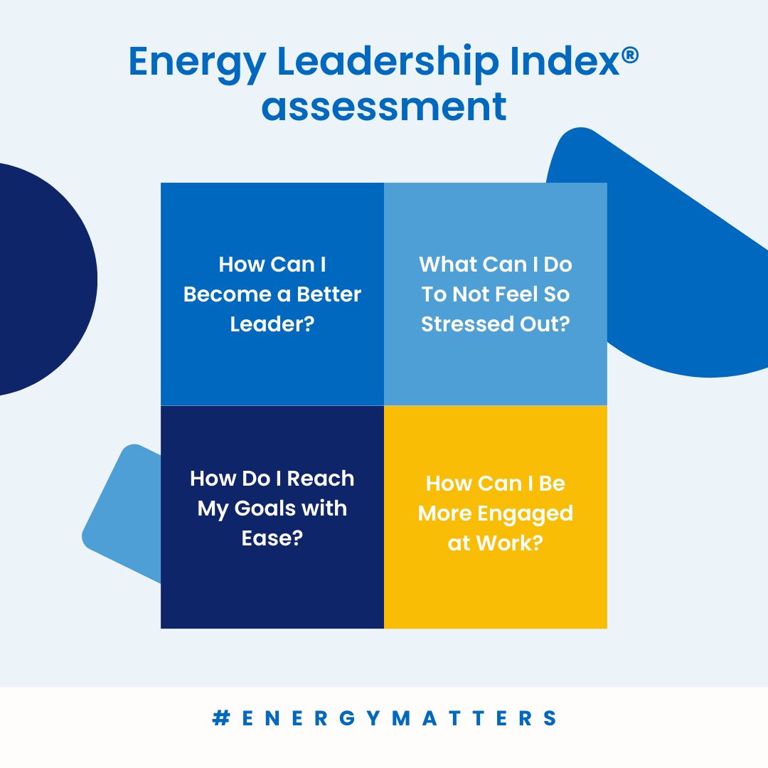 Energy Leadership Index assessment questions