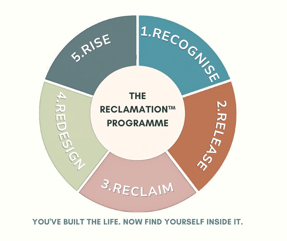 The Reclamation Programme wheel: Recognise, Release, Reclaim, Redesign, Rise