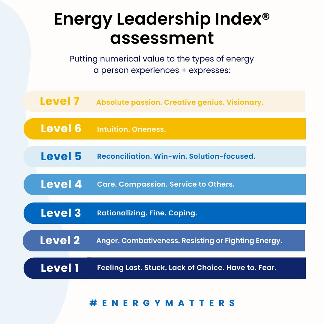 Energy Leadership Index assessment: the seven levels of energy