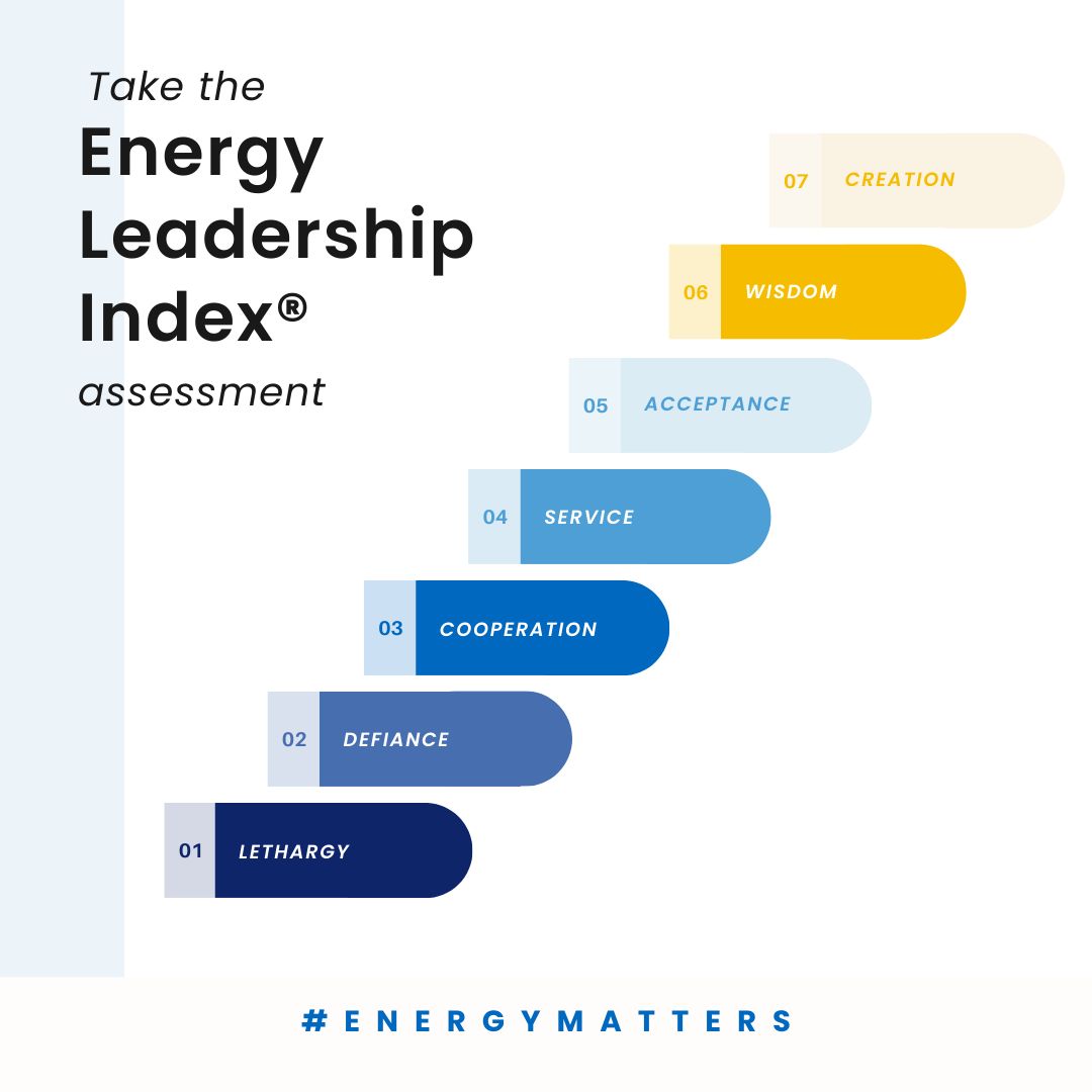 Take the Energy Leadership Index assessment